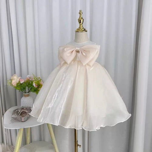 Elegant Baby Pageant Dresses Toddler Mesh Ball Gowns