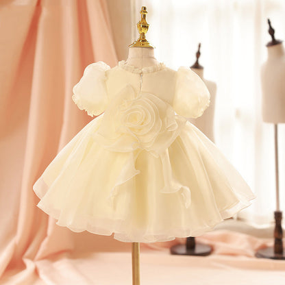 Girls Birthday Dress Bow Fluffy Princess Dress