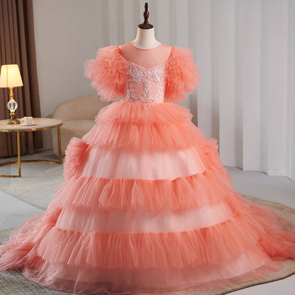 Girl First Communion Little Girl Summer Pink Cake Fluffy Birthday Party Pageant Dress