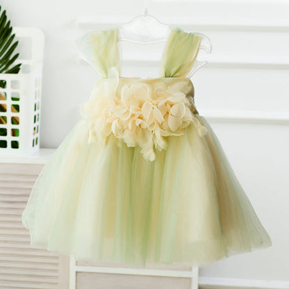 First Birthday Outfit Toddler Party dress Fancy Dress Flower Girl Dress