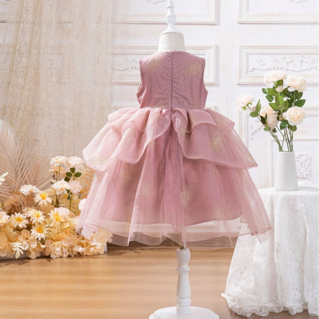 Girls Pink Mesh Princess Dress Sleeveless Puffy Dress Sequin Birthday  Dress