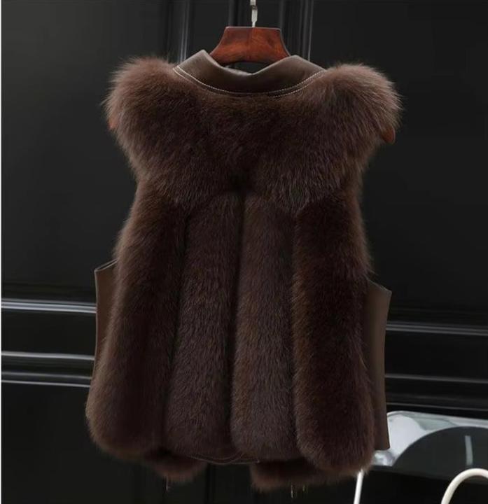 DAH Elysian Faux Fur Vest: Sophisticated Warmth Meets Ethical Style