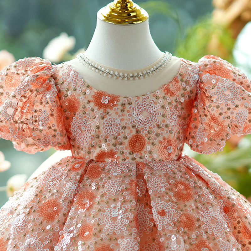 Flower Girl Dress Beauty Pageant Dress Sequined Dress Toddler First Communion Princess Dress