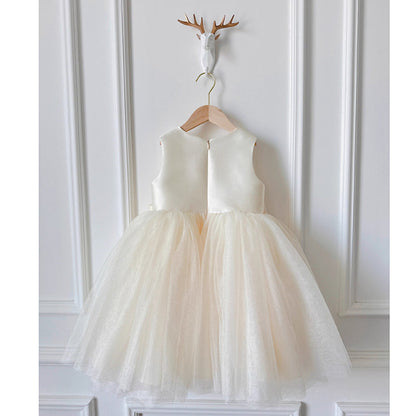 Simple Princess Dress Children's Birthday Party Dress